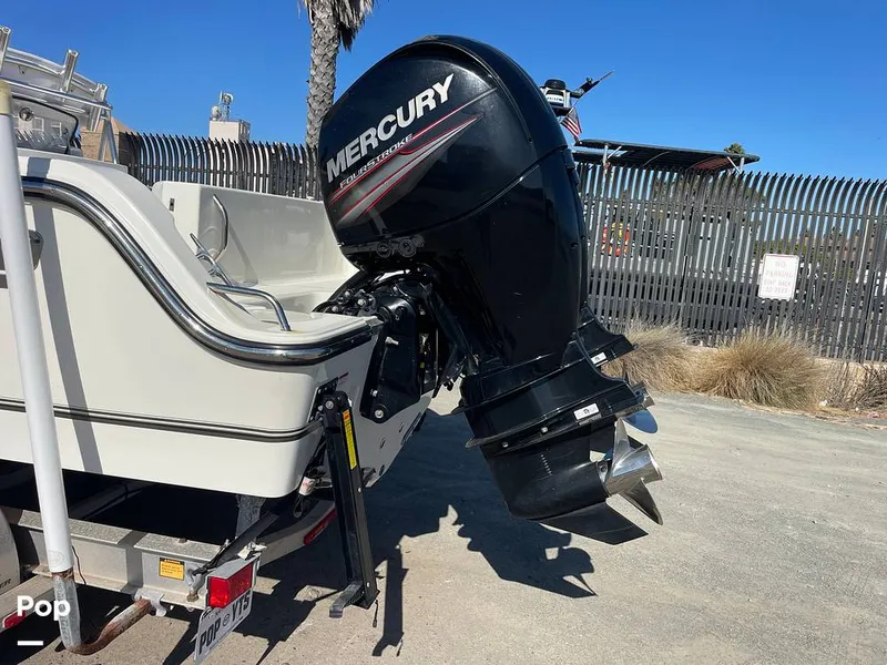 Slide: The Image of Mako 234cc 2020 - 14807423