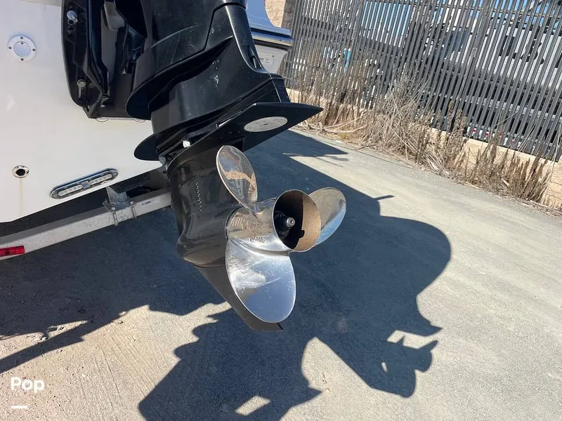 Slide: The Image of Mako 234cc 2020 - 14807431