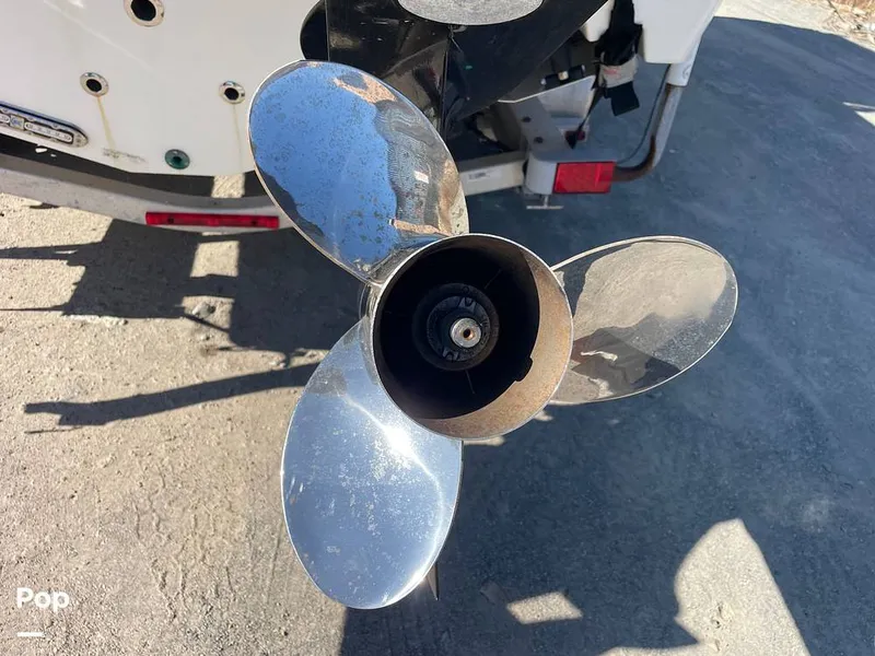 Slide: The Image of Mako 234cc 2020 - 14807433