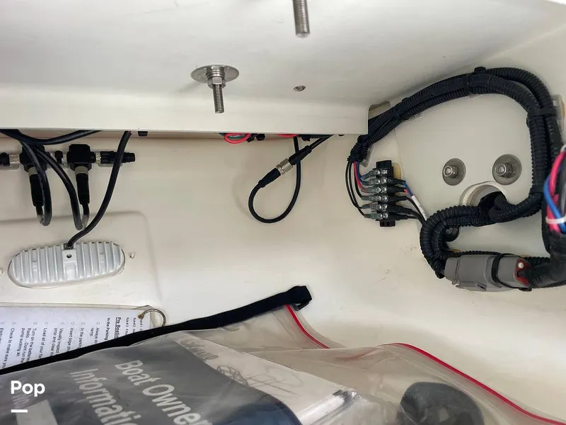 Slide: The Image of Mako 234cc 2020 - 14807482