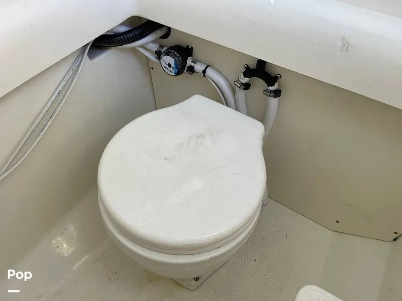 Slide: The Image of Mako 234cc 2020 - 14807491