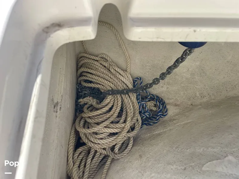 Slide: The Image of Mako 234cc 2020 - 14807508