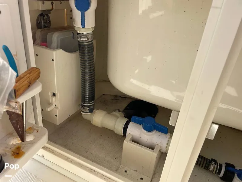 Slide: The Image of Mako 234cc 2020 - 14807520