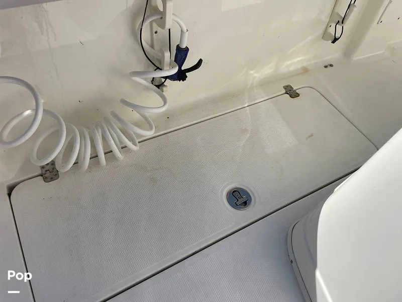 Slide: The Image of Mako 234cc 2020 - 14807530