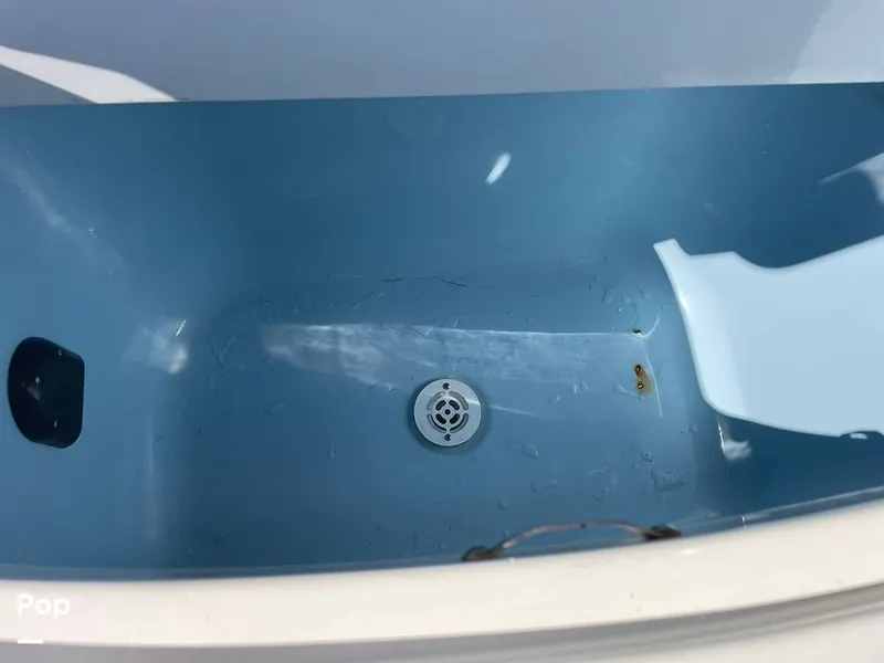 Slide: The Image of Mako 234cc 2020 - 14807534