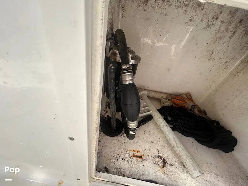 Slide: The Image of Century 2200 CC 2018 - 14837994