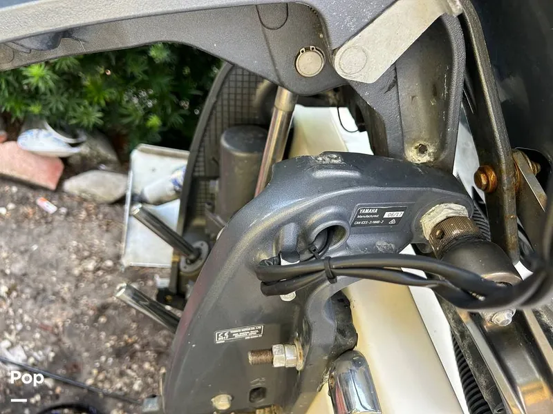 Slide: The Image of Century 2200 CC 2018 - 14838021