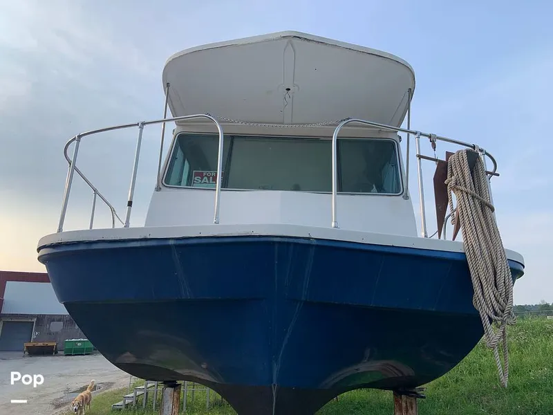 Slide: The Image of Harbor Master 375 1987 - 15552662
