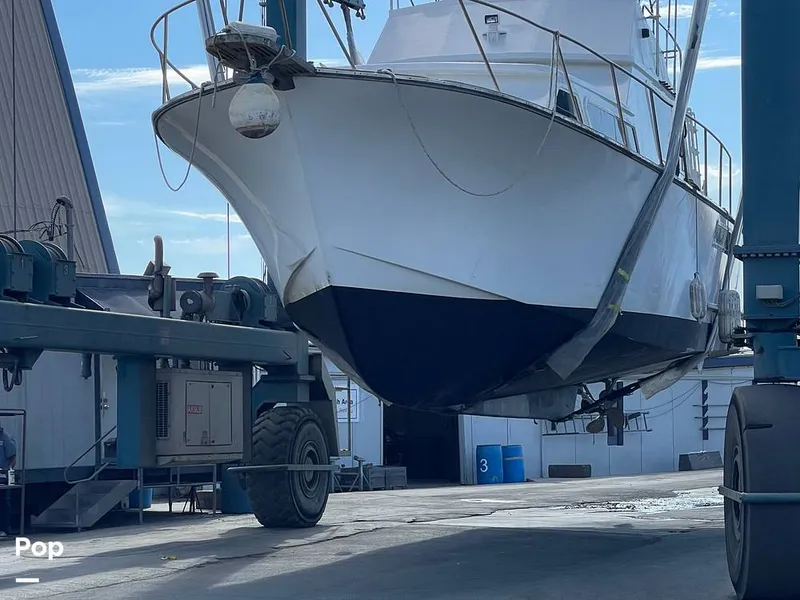 Slide: The Image of Elliot Aquilar Awg49 1983 - 15354991