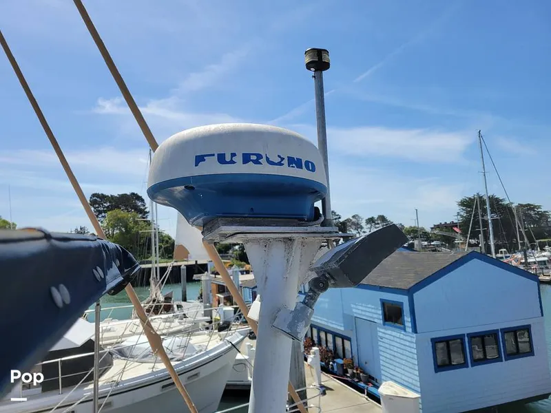 Slide: The Image of Elliot Aquilar Awg49 1983 - 15387863