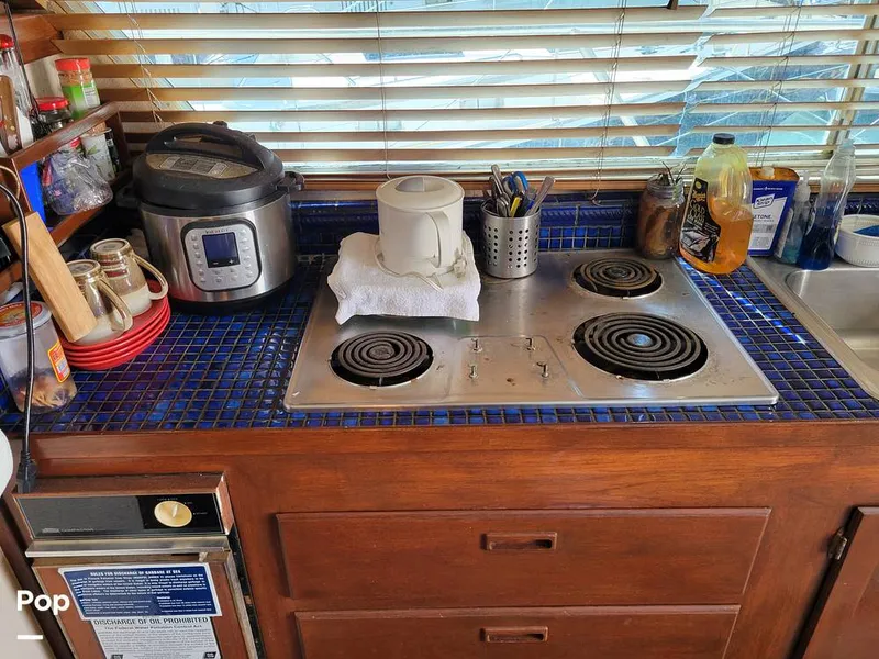 Slide: The Image of Elliot Aquilar Awg49 1983 - 15387874