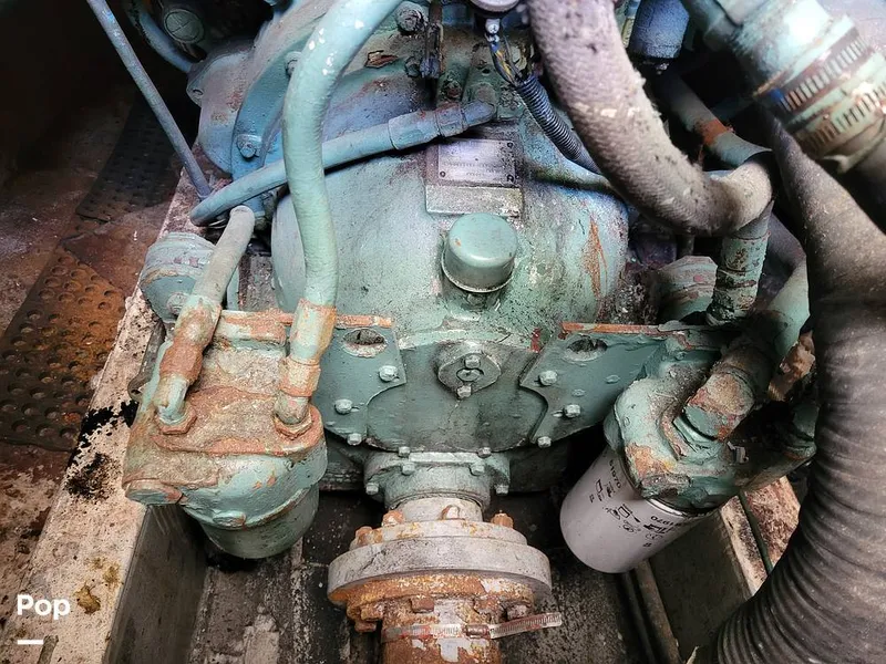 Slide: The Image of Elliot Aquilar Awg49 1983 - 15388038