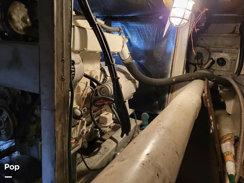 Slide: The Image of Elliot Aquilar Awg49 1983 - 15388042