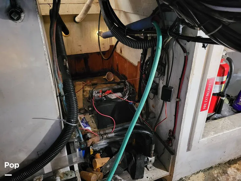 Slide: The Image of Elliot Aquilar Awg49 1983 - 15388045