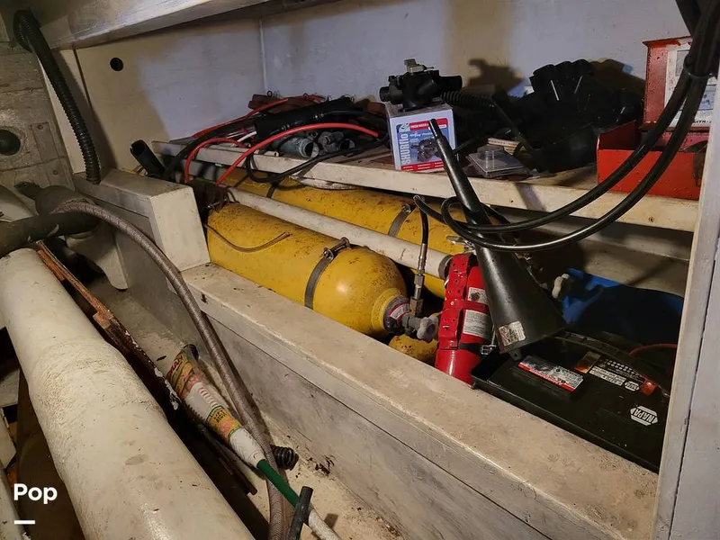 Slide: The Image of Elliot Aquilar Awg49 1983 - 15388048