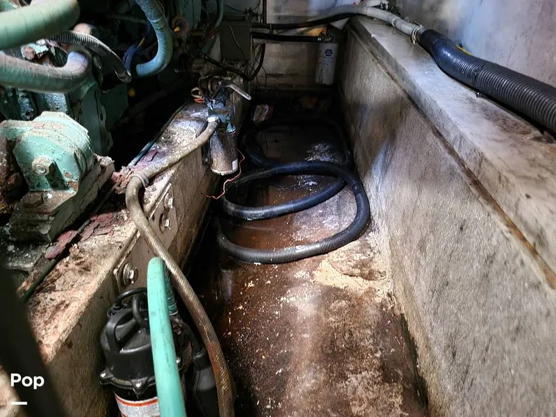 Slide: The Image of Elliot Aquilar Awg49 1983 - 15388053