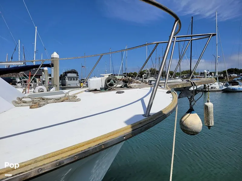 Slide: The Image of Elliot Aquilar Awg49 1983 - 15388058