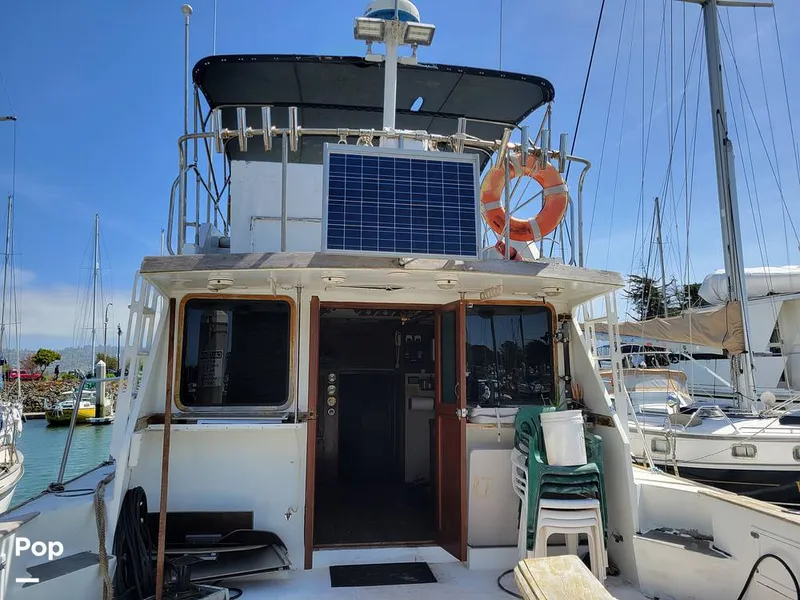 Slide: The Image of Elliot Aquilar Awg49 1983 - 15388063