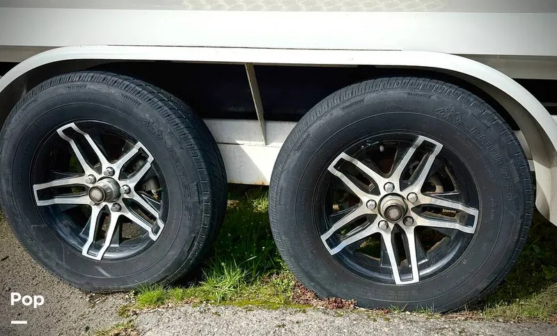 Slide: The Image of Sanger V237-XTZ 2019 - 15262167