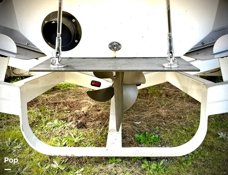 Slide: The Image of Sanger V237-XTZ 2019 - 15262190