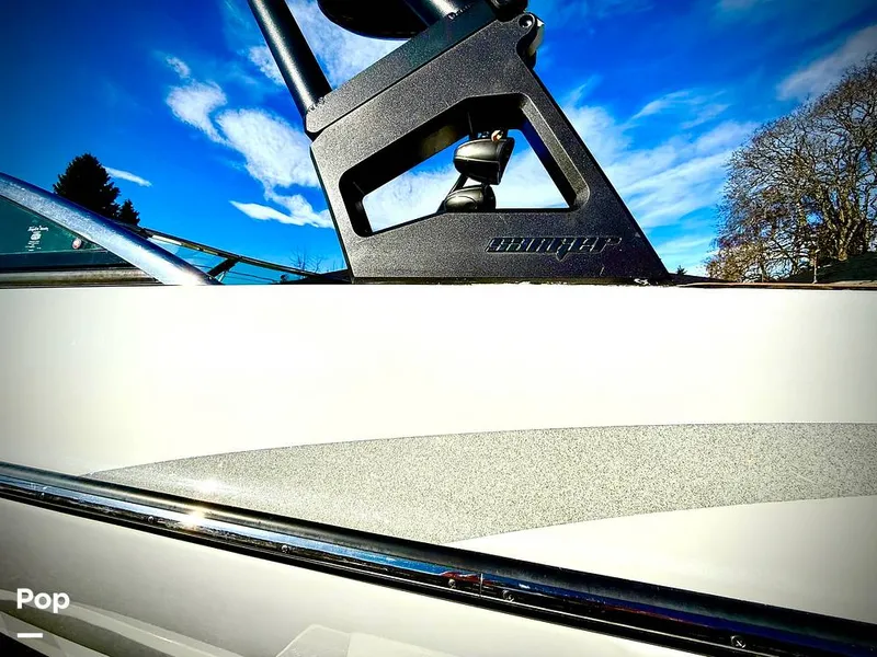 Slide: The Image of Sanger V237-XTZ 2019 - 15262200