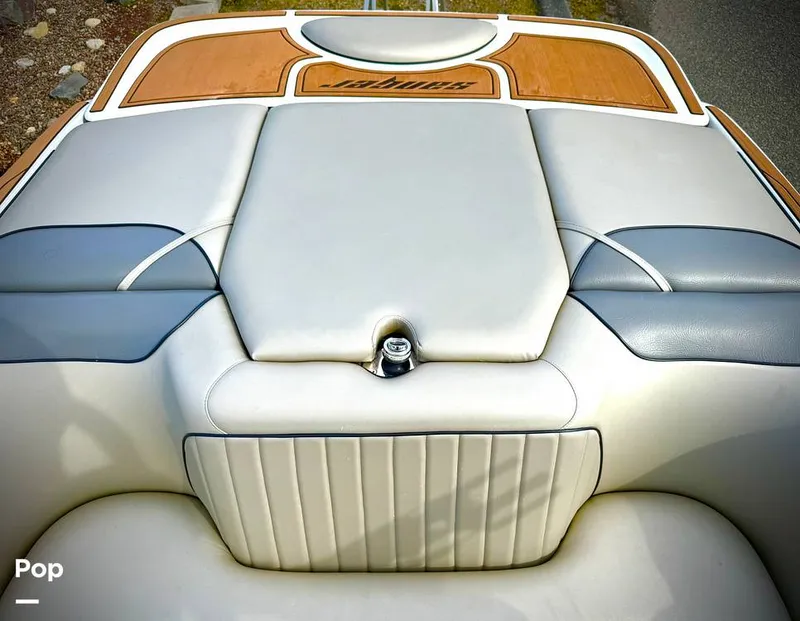 Slide: The Image of Sanger V237-XTZ 2019 - 15262210