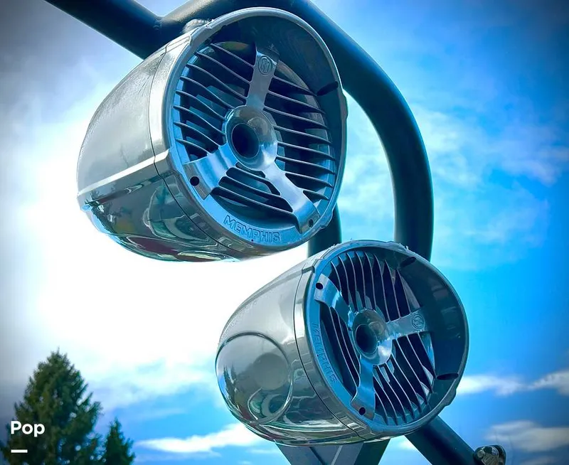 Slide: The Image of Sanger V237-XTZ 2019 - 15262213