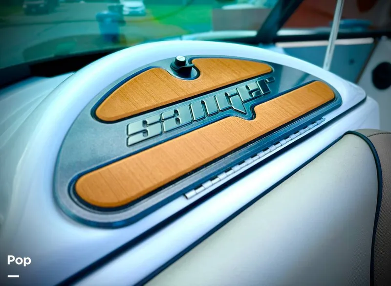 Slide: The Image of Sanger V237-XTZ 2019 - 15262222