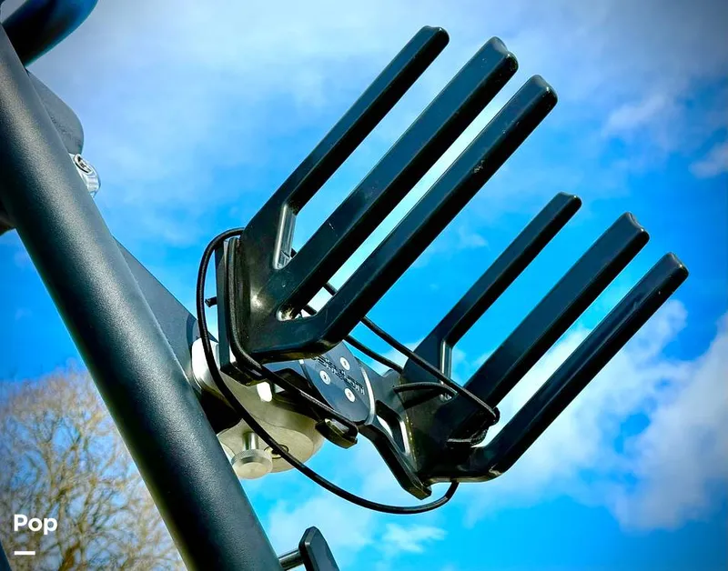 Slide: The Image of Sanger V237-XTZ 2019 - 15262224