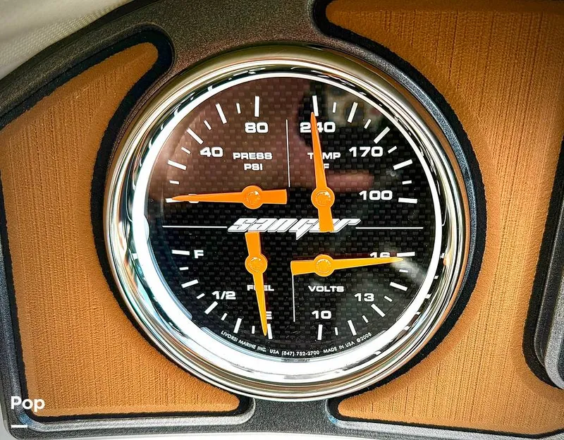 Slide: The Image of Sanger V237-XTZ 2019 - 15262227