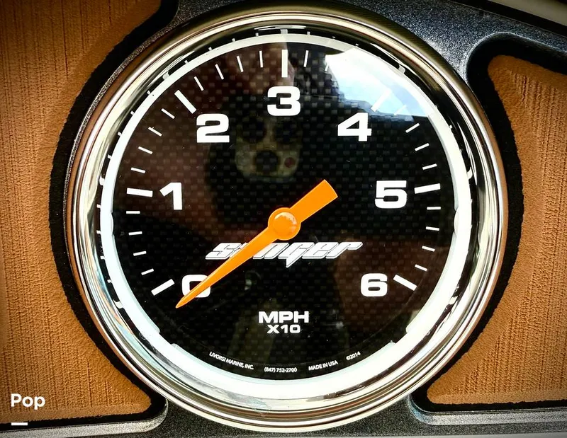 Slide: The Image of Sanger V237-XTZ 2019 - 15262228