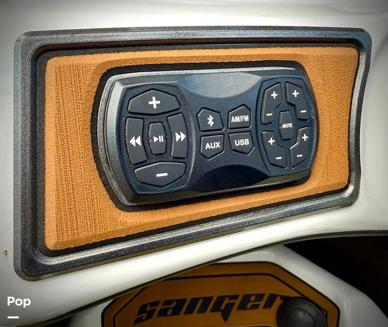 Slide: The Image of Sanger V237-XTZ 2019 - 15262230