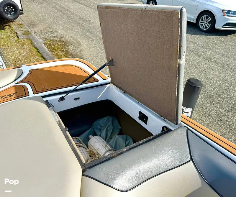 Slide: The Image of Sanger V237-XTZ 2019 - 15262248