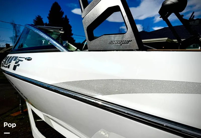 Slide: The Image of Sanger V237-XTZ 2019 - 15262250