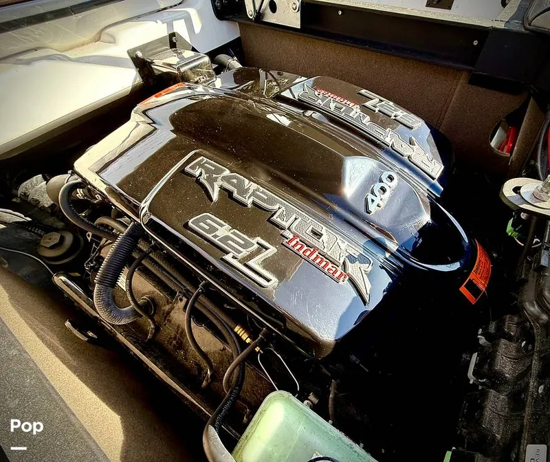 Slide: The Image of Sanger V237-XTZ 2019 - 15262256