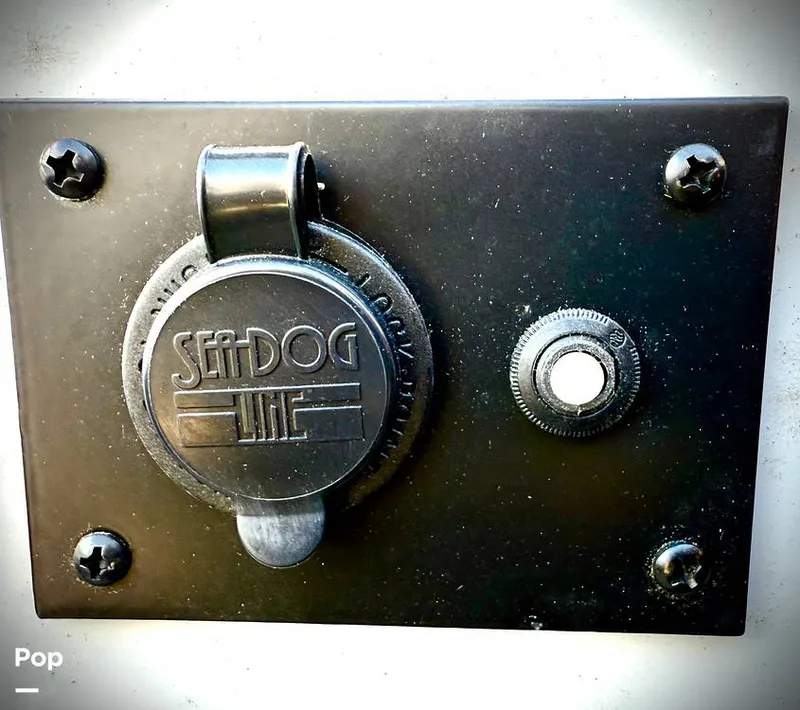 Slide: The Image of Sanger V237-XTZ 2019 - 15262260