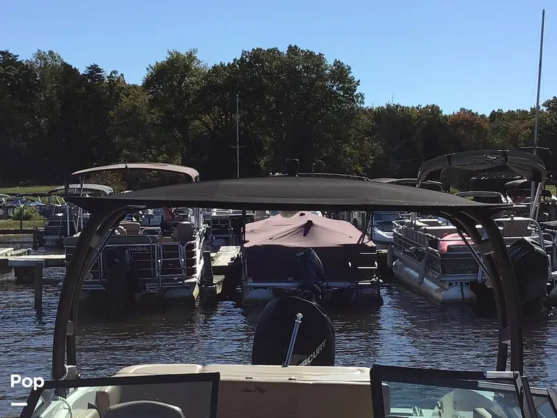 Slide: The Image of Sea Ray 210 SPX OB 2023 - 14830326