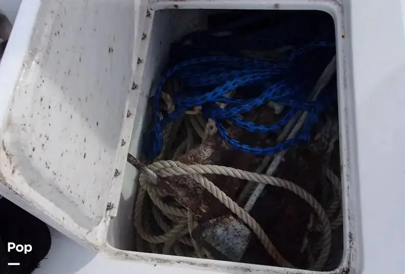 Slide: The Image of Pursuit Tiara 2500 1983 - 14921587