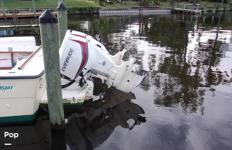 Slide: The Image of Pursuit Tiara 2500 1983 - 14921605