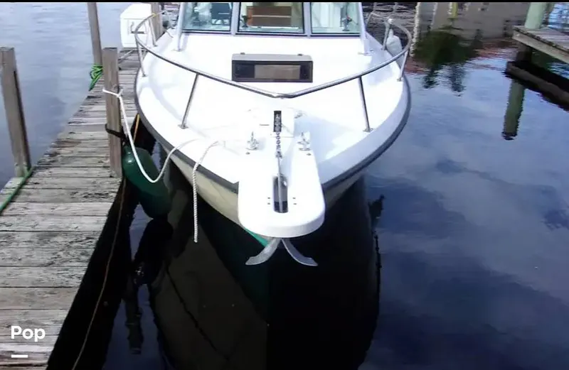 Slide: The Image of Pursuit Tiara 2500 1983 - 14921606