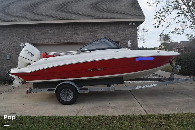 Slide: The Image of Stingray 191DC 2020 - 14904269