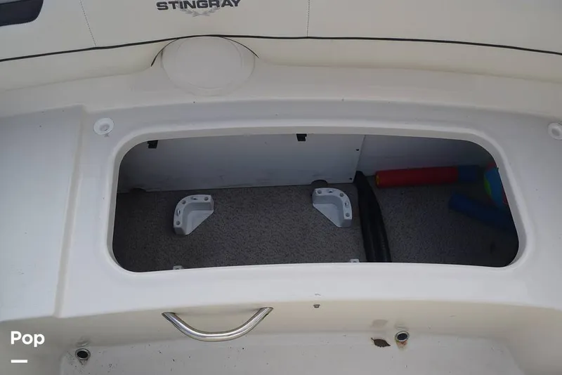Slide: The Image of Stingray 191DC 2020 - 14904315
