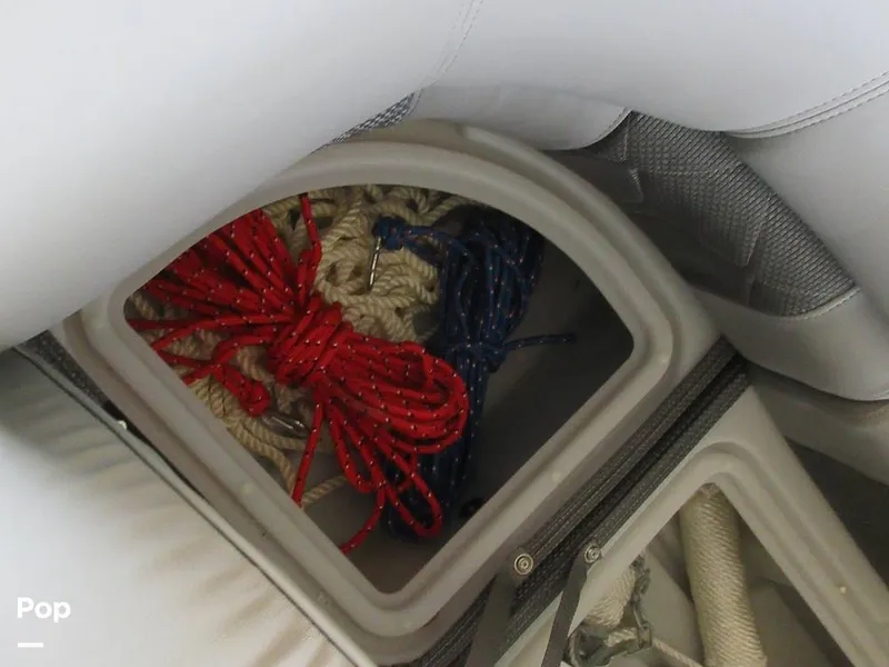 Slide: The Image of Regency 250 LE3 2023 - 15015800