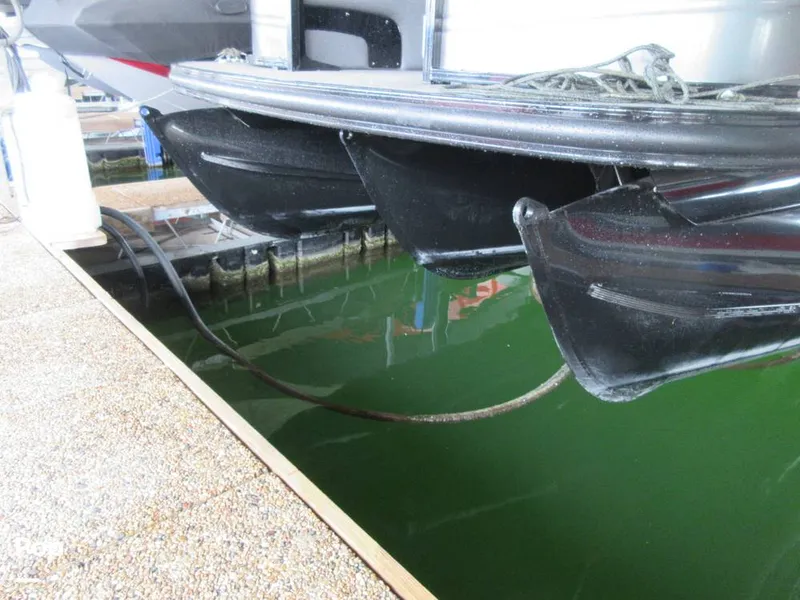 Slide: The Image of Regency 250 LE3 2023 - 15015681