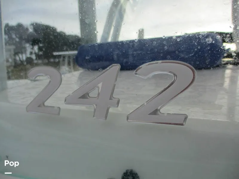 Slide: The Image of Sailfish 242 CC 2021 - 14882156