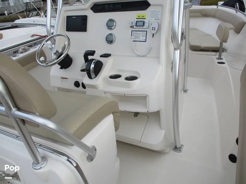 Slide: The Image of Sailfish 242 CC 2021 - 14882161