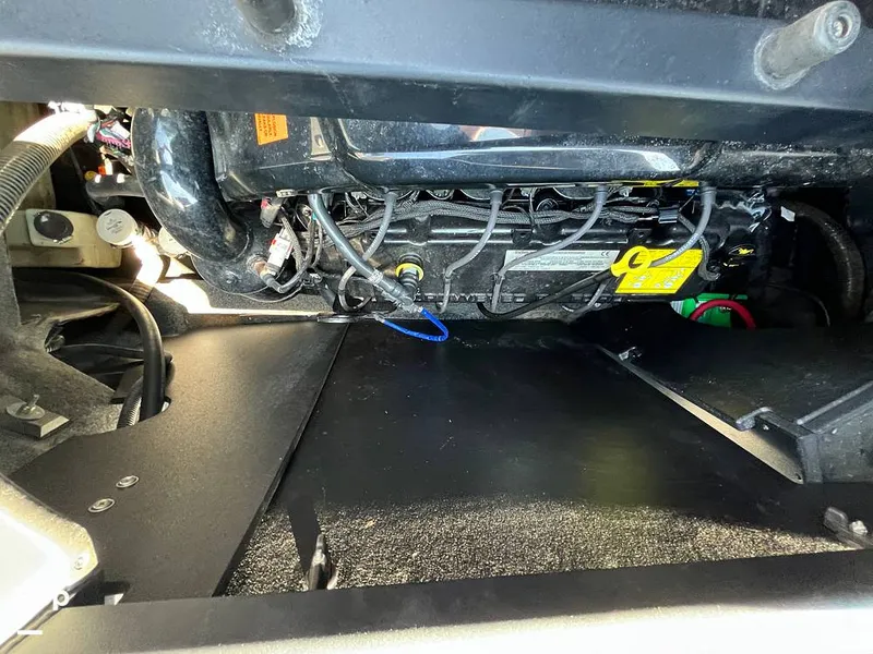 Slide: The Image of Tige R21 2018 - 16312671