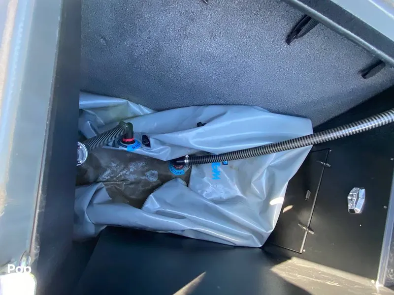 Slide: The Image of Tige R21 2018 - 14891885