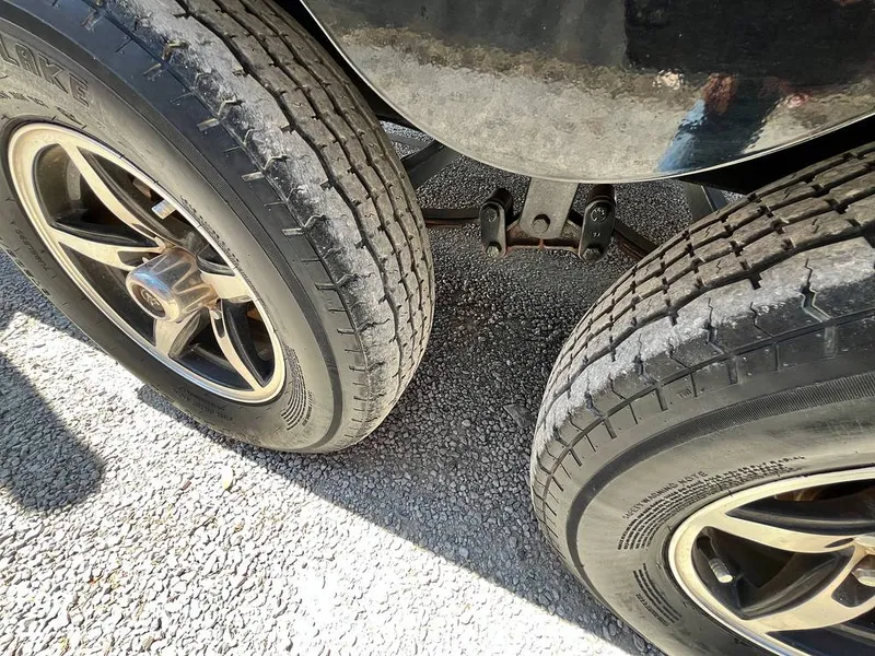 Slide: The Image of Tige R21 2018 - 16307457