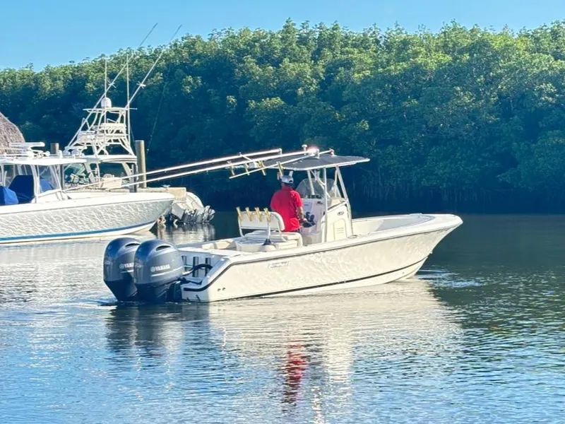 Slide: The Image of Pursuit 2570 CC 2005 - 4